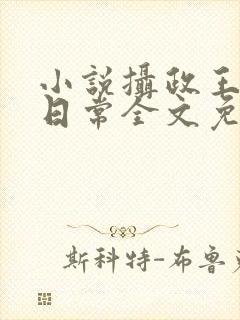 小说摄政王宠妃日常全文免费阅读封面