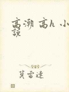 高潮 高h 小说