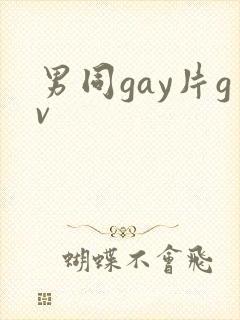 男同gay片gv