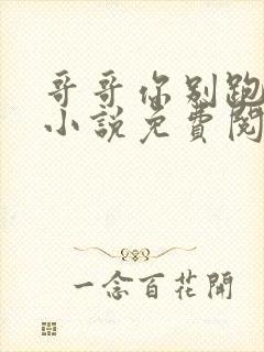 哥哥你别跑原著小说免费阅读