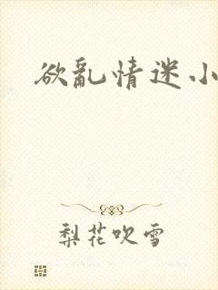 欲乱情迷小说封面