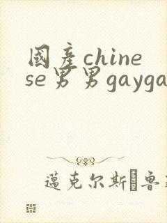 国产chinese男男gaygay网站软件
