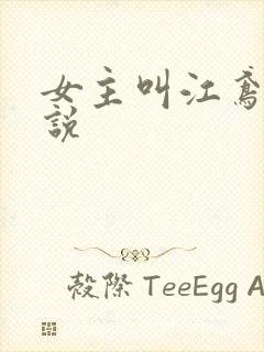 女主叫江鸢的小说封面