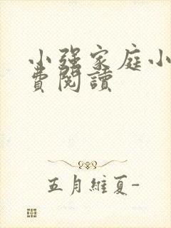 小强家庭小说免费阅读封面