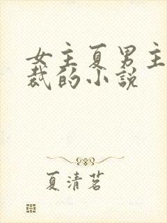 女主夏男主傅总裁的小说