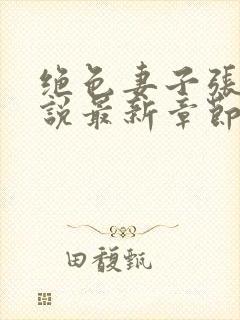 绝色妻子张妍小说最新章节更新时间