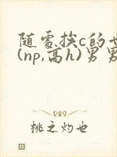 随处挨c的世界(np,高h)男男