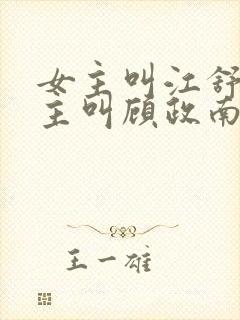 女主叫江舒棠男主叫顾政南的小说