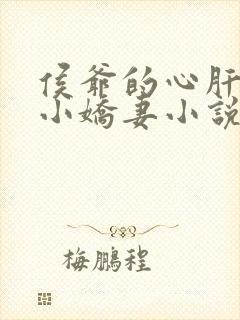 侯爷的心肝续弦小娇妻小说傅知易