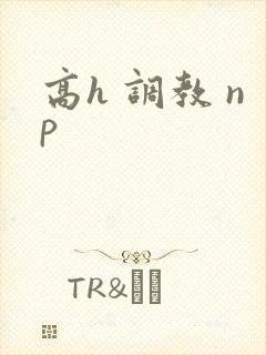 高h 调教 np