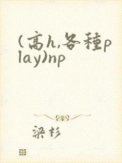 (高h,各种play)np
