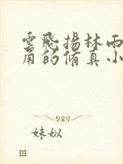 云飞扬林雨初主角的修真小说