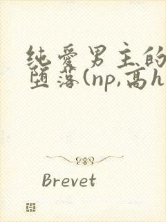 纯爱男主的肉欲堕落(np,高h)_