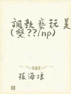 调教亵玩美人受(双??/np)