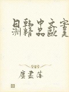 日韩中文字幕亚洲精品欧美人妻在线