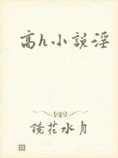 高h小说淫