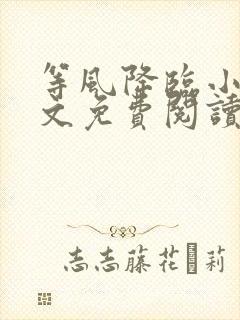 等风降临小说全文免费阅读