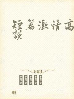 短篇激情高h小说封面
