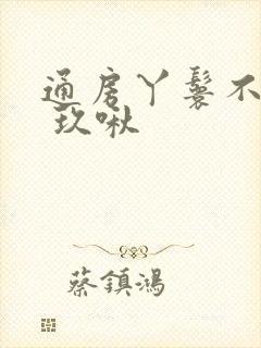 通房丫鬟不卑微 玖啾封面