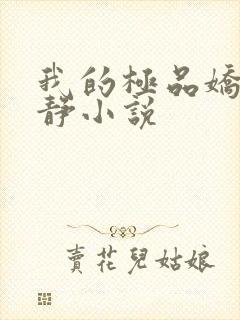 我的极品娇妻张静小说