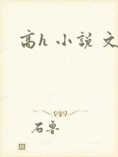 高h 小说 文