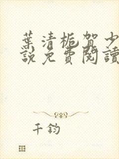 叶清栀贺少衍小说免费阅读最新章节