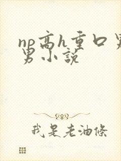np高h重口男男小说封面