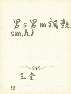 男s男m调教(sm,h)