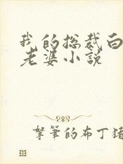 我的总裁白富美老婆小说封面