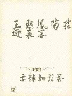 王熙凤菊花门初迎来客