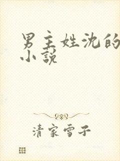 男主姓沈的现代小说