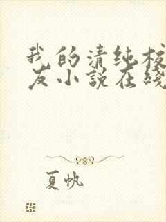 我的清纯校花女友小说在线阅读