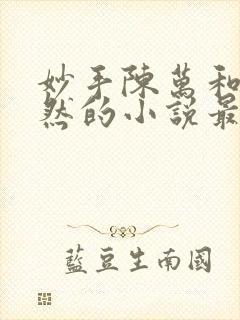 妙手陈万和唐嫣然的小说最新章节