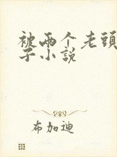 被两个老头舔奶子小说封面