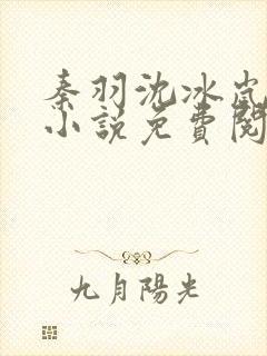 秦羽沈冰岚穿越小说免费阅读