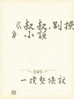 《叔叔,别撩我》小说