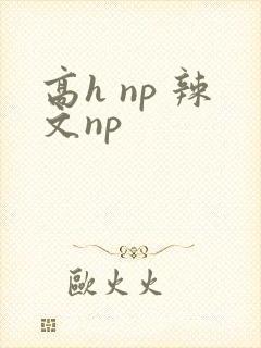 高h np 辣文np