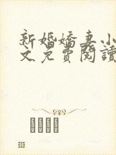 新婚娇妻小莹全文免费阅读最新章节