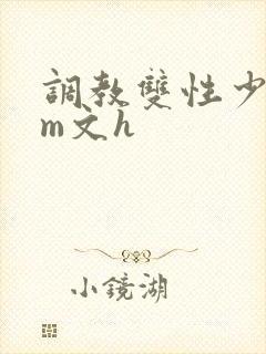调教双性少年sm文h