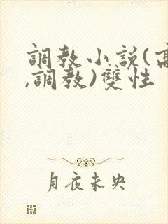 调教小说(高h,调教)双性