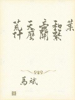 荒天帝和叶天帝什么关系