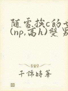 随处挨c的世界(np,高h)双男