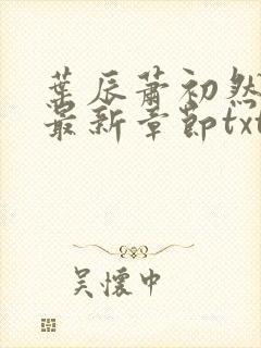 叶辰萧初然免费最新章节txt