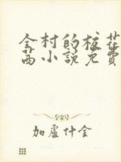 全村的校花叶茜茜小说免费阅读