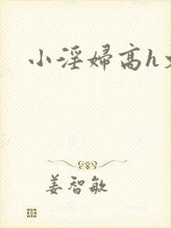 小淫妇高h文黄