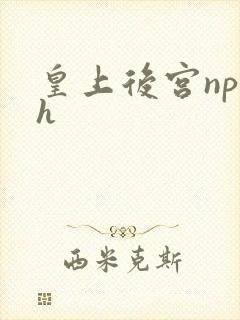 皇上后宫np高h封面