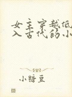 女主穿越低调融入古代的小说