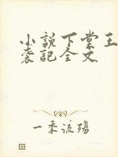 小说下堂王妃逆袭记全文封面