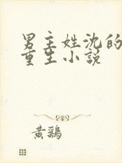 男主姓沈的所有重生小说