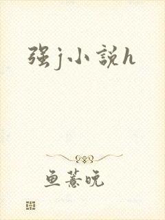 强j小说h